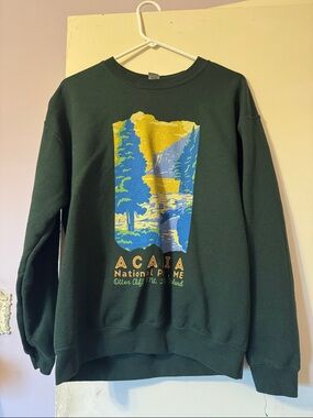 Gildan Forest Green Crewneck Sweatshirt with Blue and Yellow Graphic